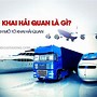 Chứng Chỉ Khai Báo Hải Quan 2022 Là Gì Khi Nào