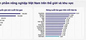 Sản Xuất Lúa Gạo Ở Việt Nam Đứng Thứ Mấy