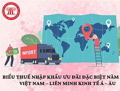 Thuế Nhập Khẩu Ưu Đãi Đặc Biệt Tiếng Anh