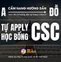 Trường Sư Phạm Sơn Đông Trung Quốc Học Phí 2024