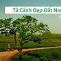 Viết Đoạn Văn Về Quê Hương Lớp 6